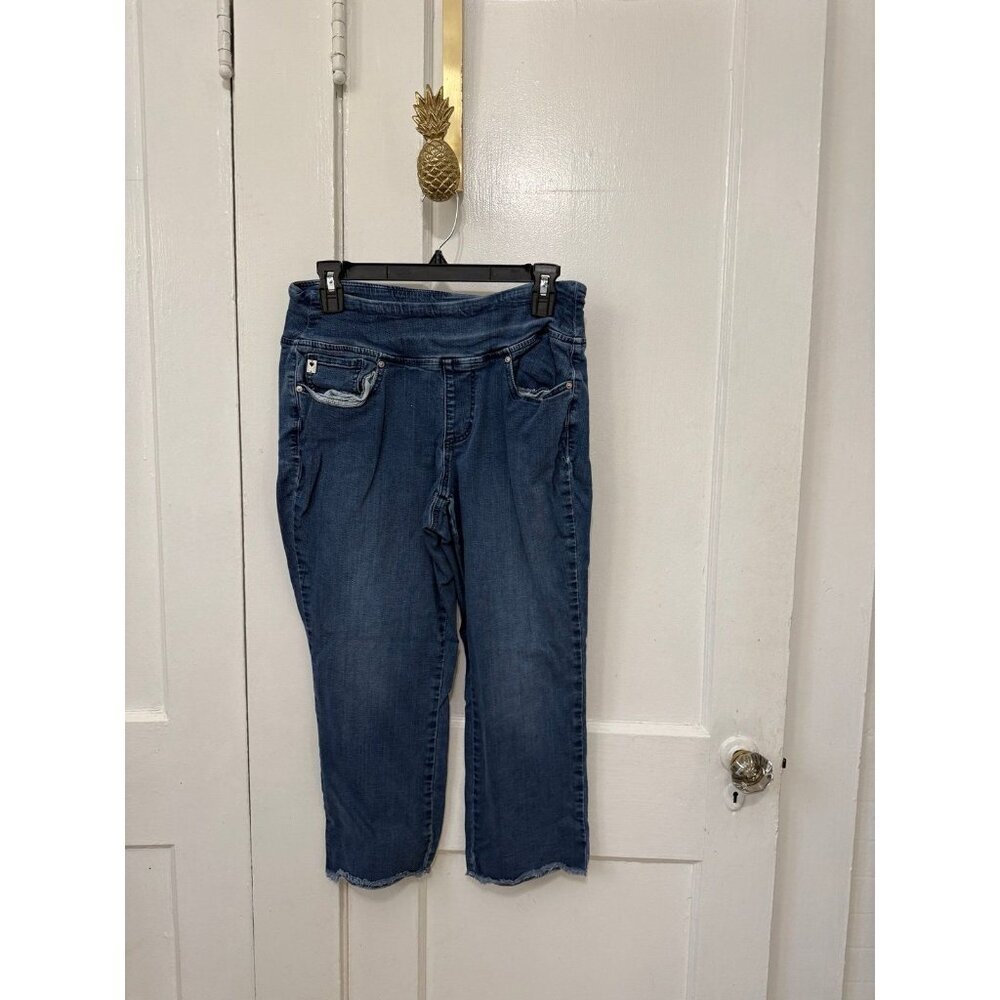 Kim Gravel Cropped Denim Jeans – Size 10P - Picture 1 of 9